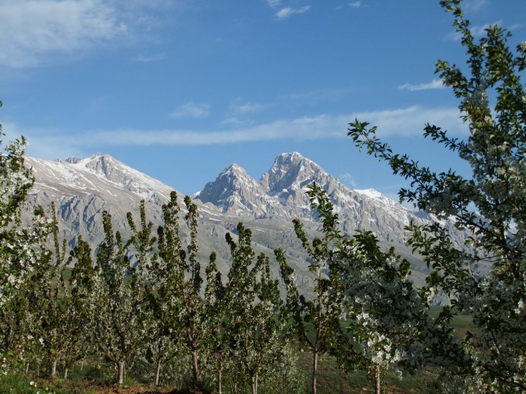 Demirkaz�k/Alada�lar