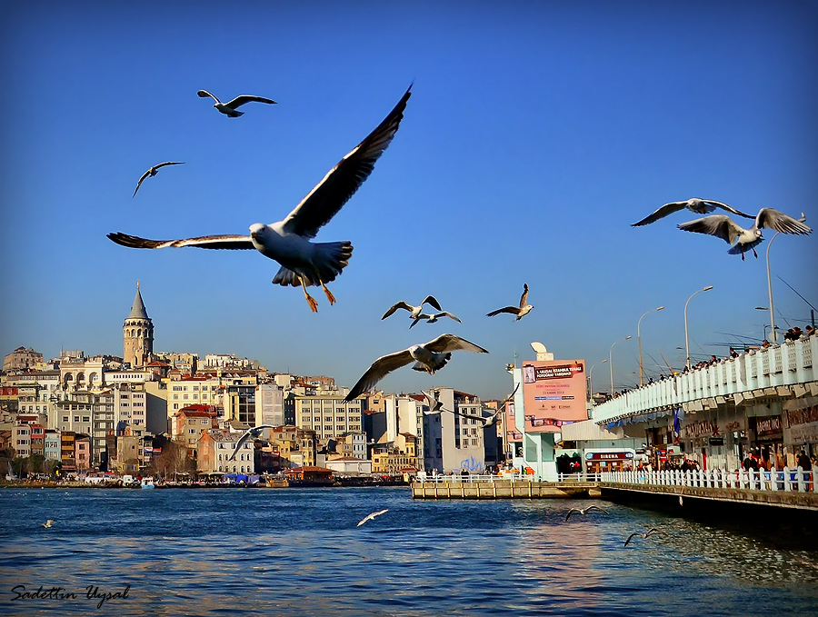 stanbul Kanatlarmn Altnda