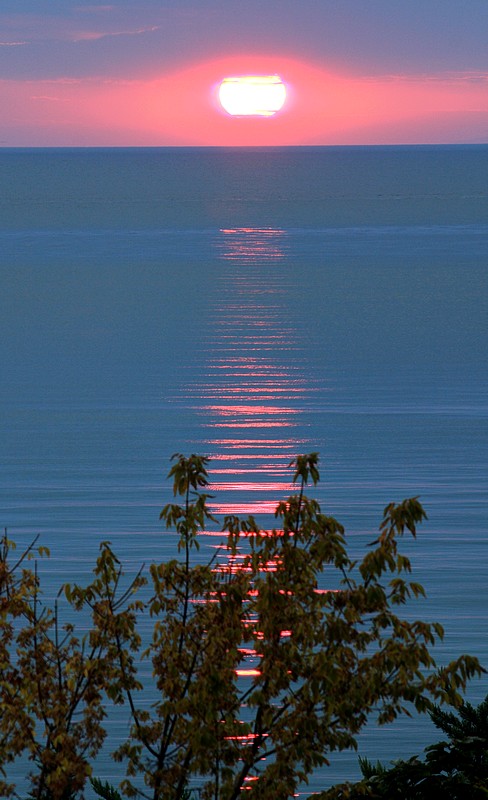 Marmarada G�n Bat�m�