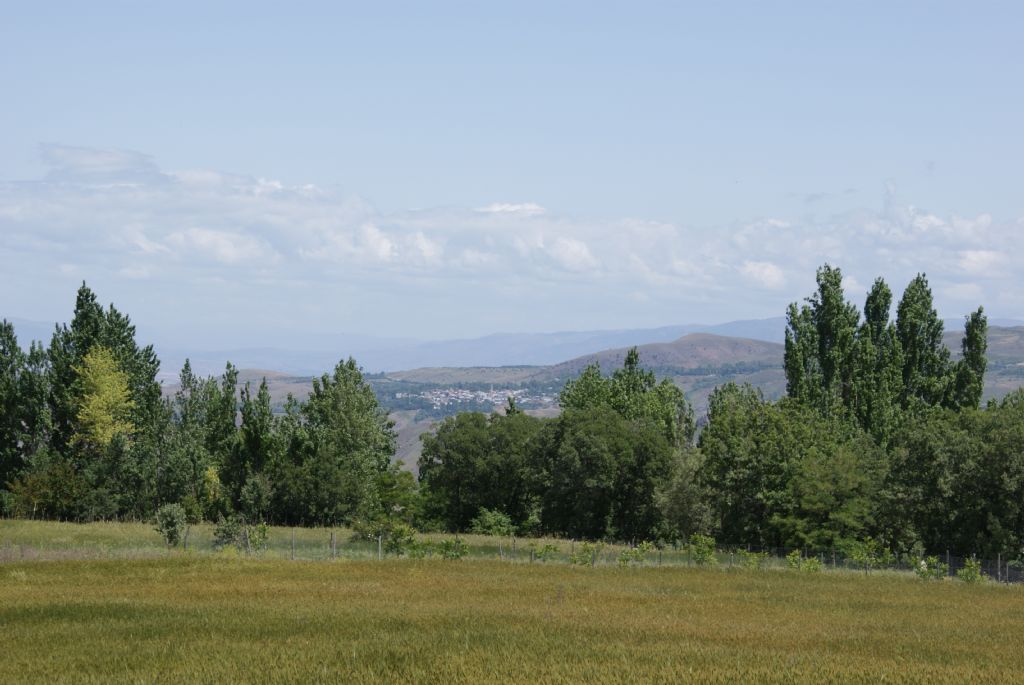 orda bir ky war uzakta