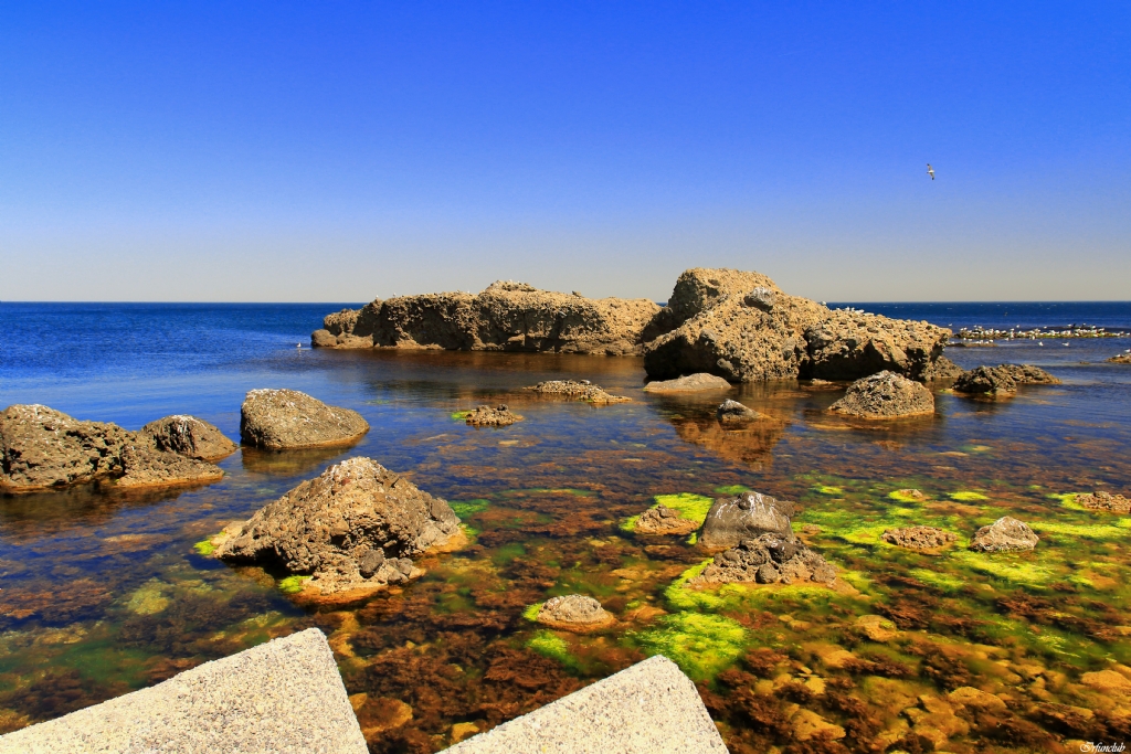 Rumeli Feneri-2