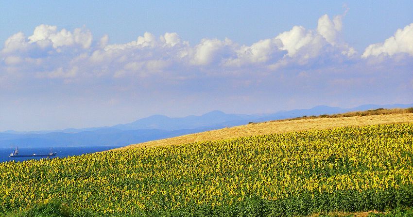 Mavi-Sar & Yeilin Bulumasyla...