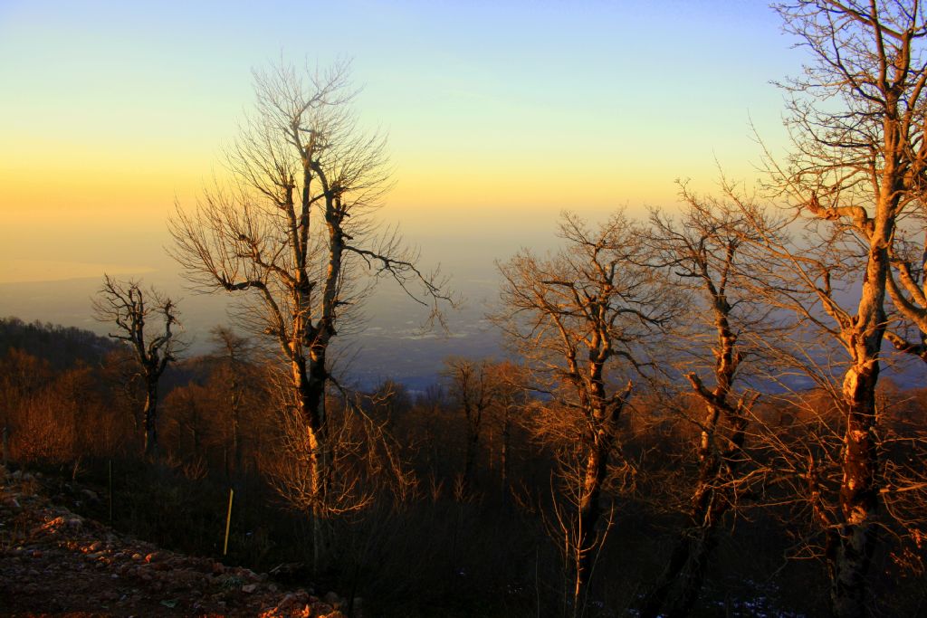 son ���klar...