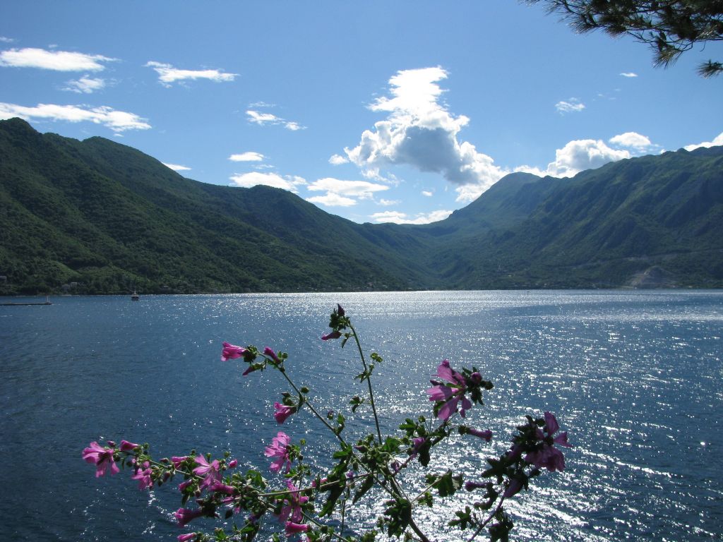 Montenegro - Perast -  deniz