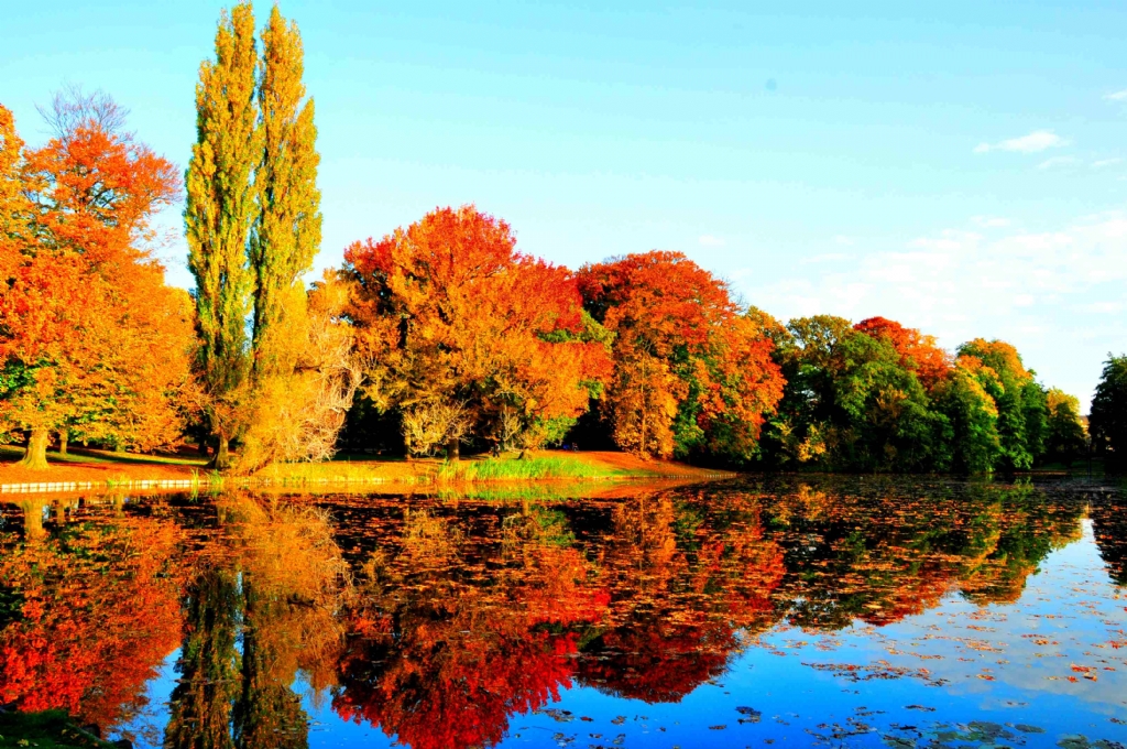 SONBAHARDAN YANSIMALAR