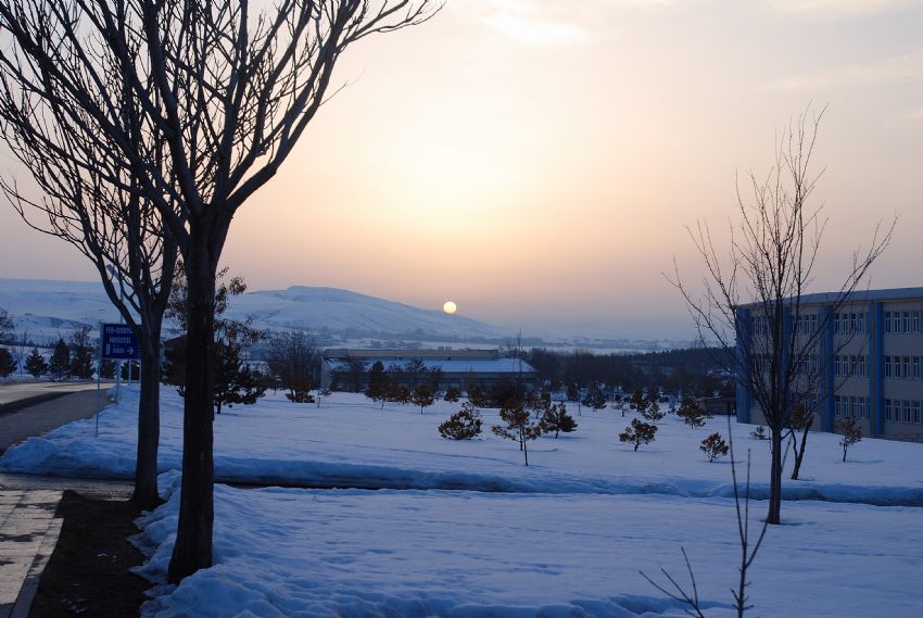 kampuste gun batarken