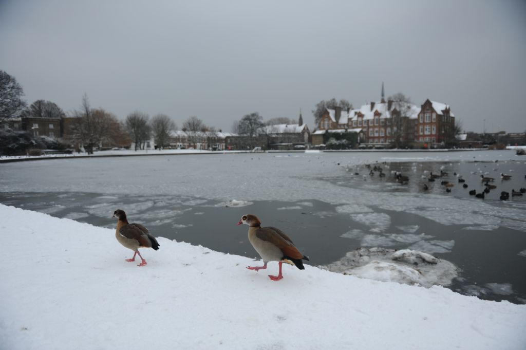 London winter...