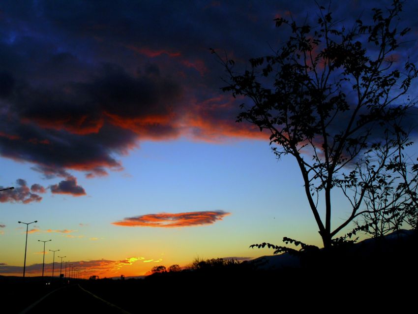 otobanda g�n do�umu