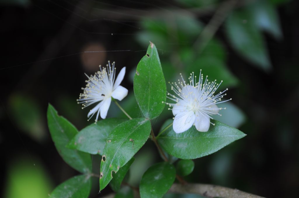 k���k ayr�nt�lar ..