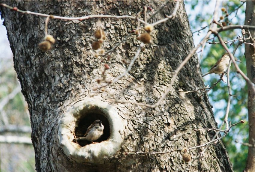 AKAM AGE KALMA.........