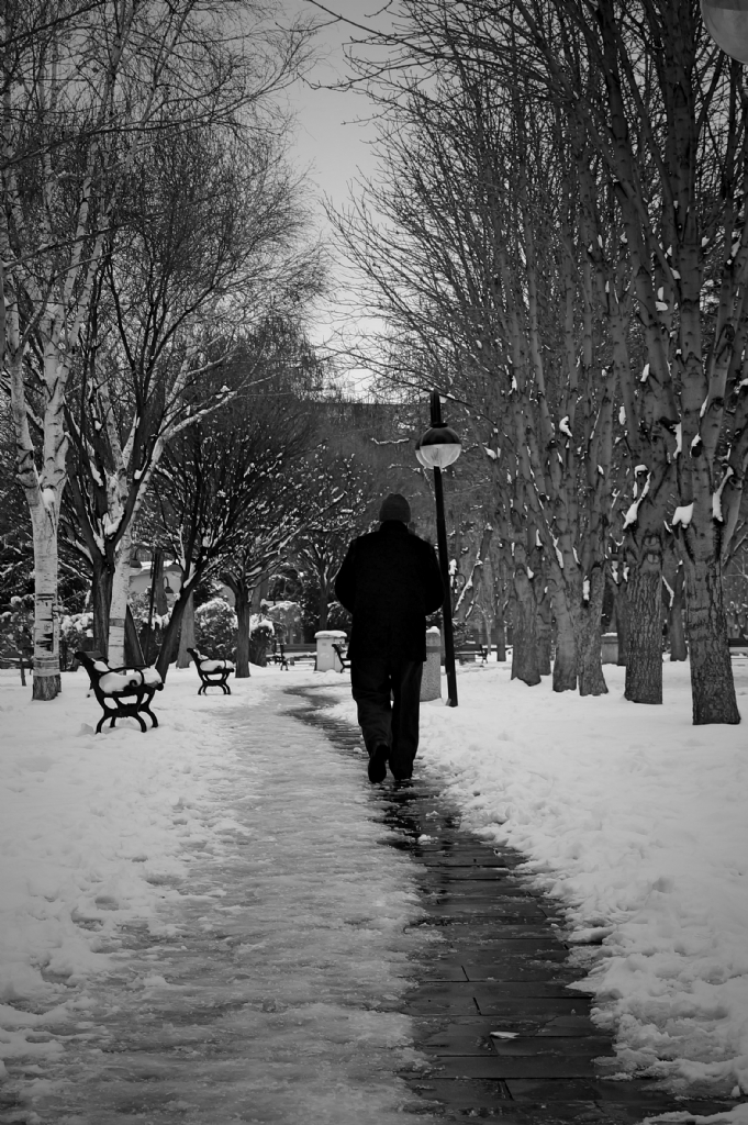 bir k�� gecesi r�yas�