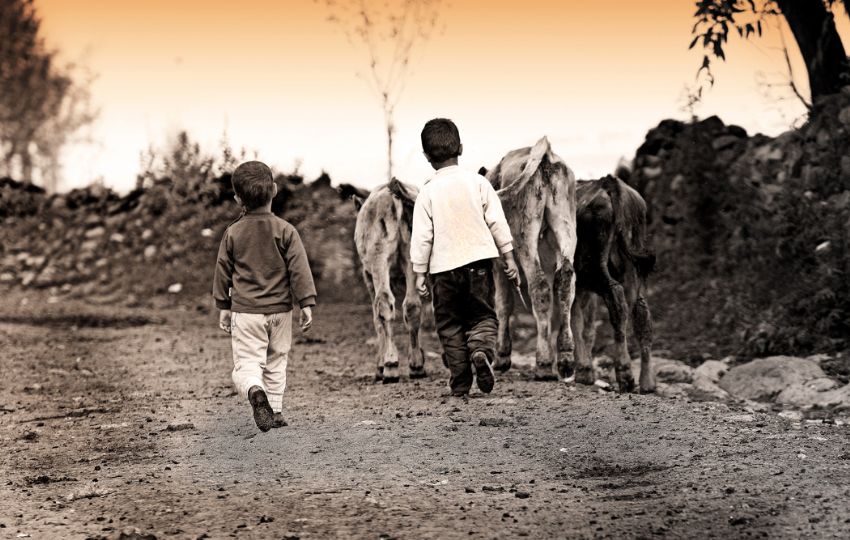 Bir de bahar bilirim...