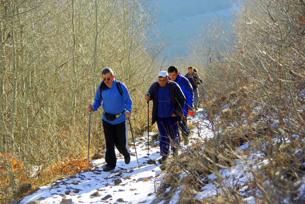 Do�a y�r�y���