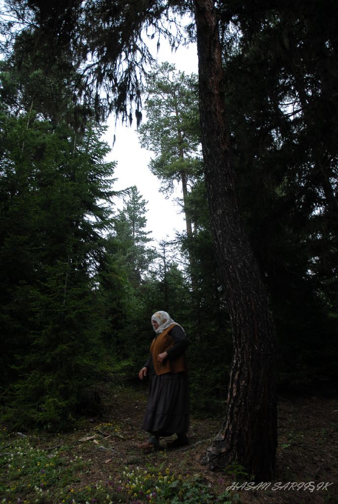 �av�at Kad�n�...