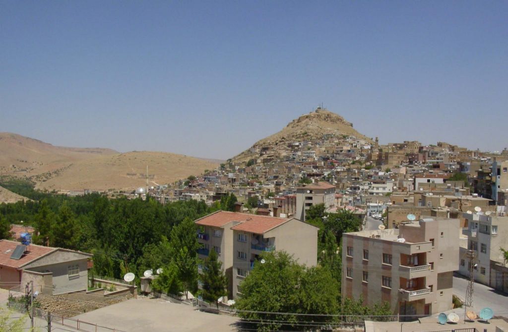 Mardin Savur 