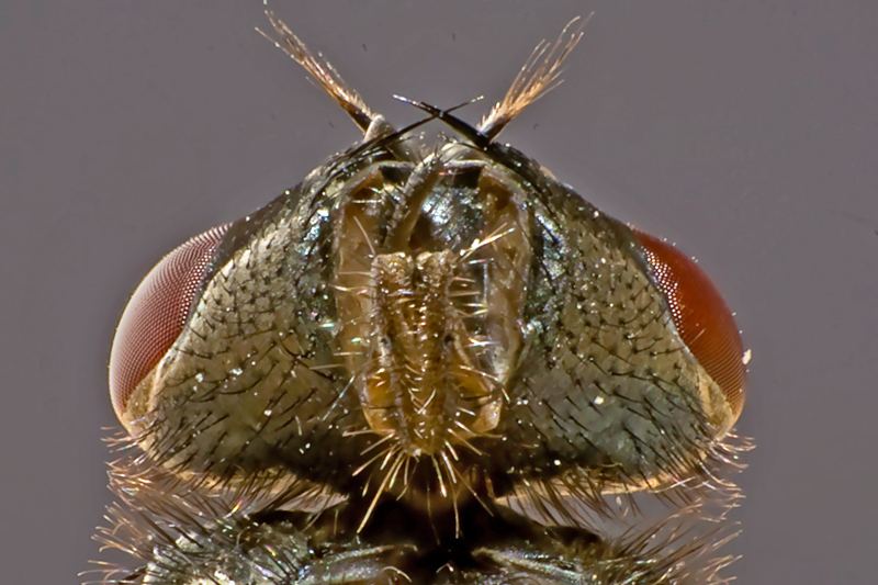 nedir bi bilin bakiim :)