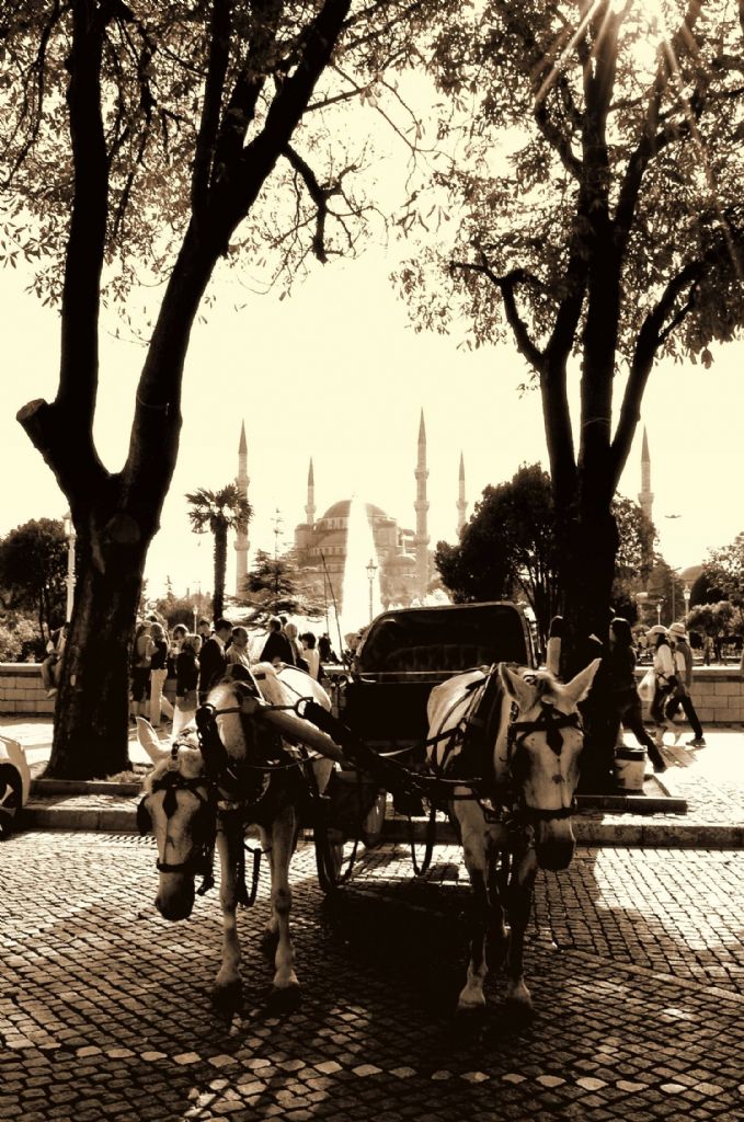 Sultanahmet 