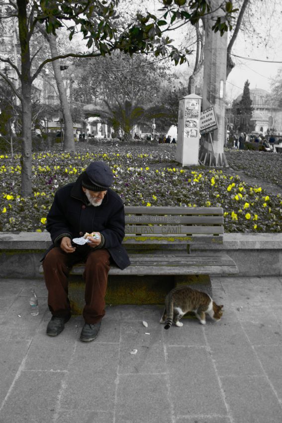 yaamaya alyor sadece