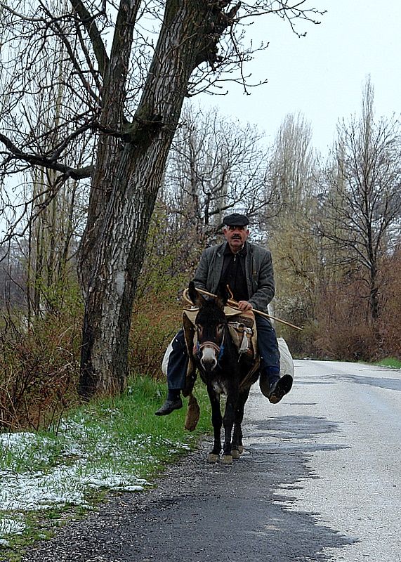 suat hocam aram...