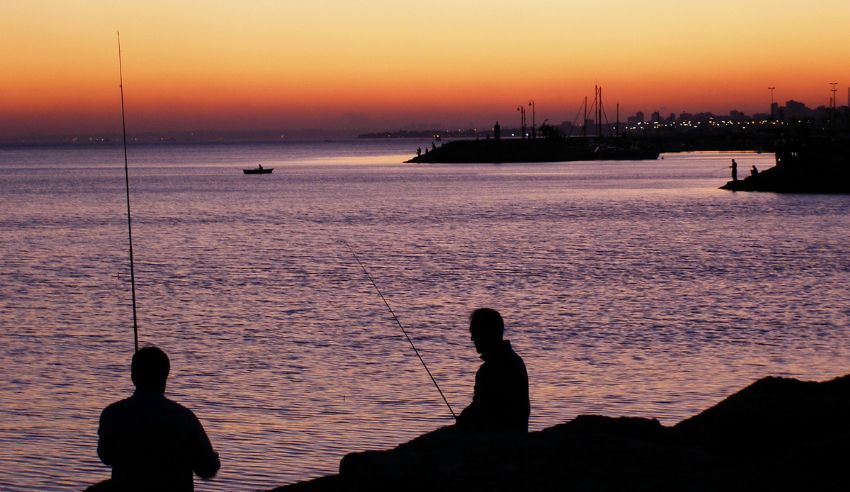 Rast Gele Arkadalar...