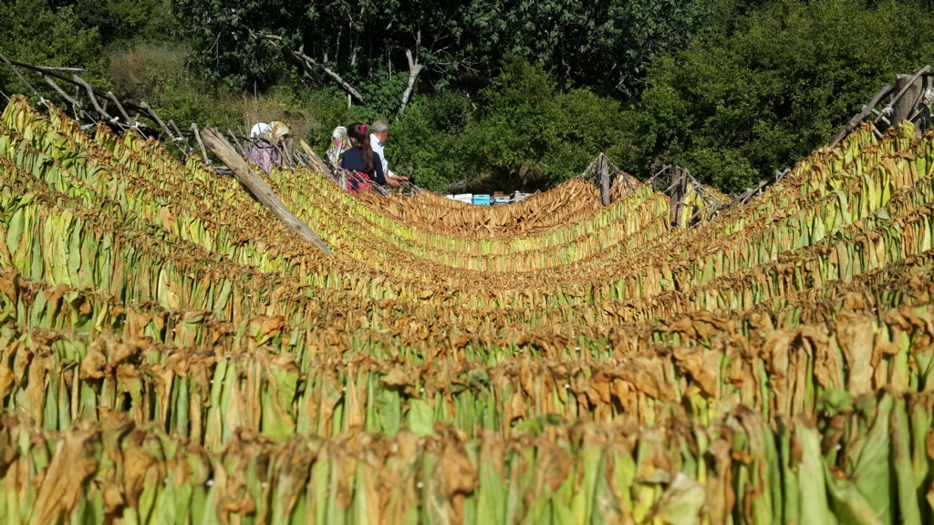 Bu haliyle daha g�zel