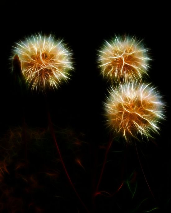 Fuzzy Fractal Family Happiness
