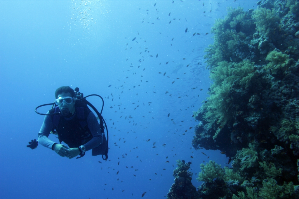 Reef Diver