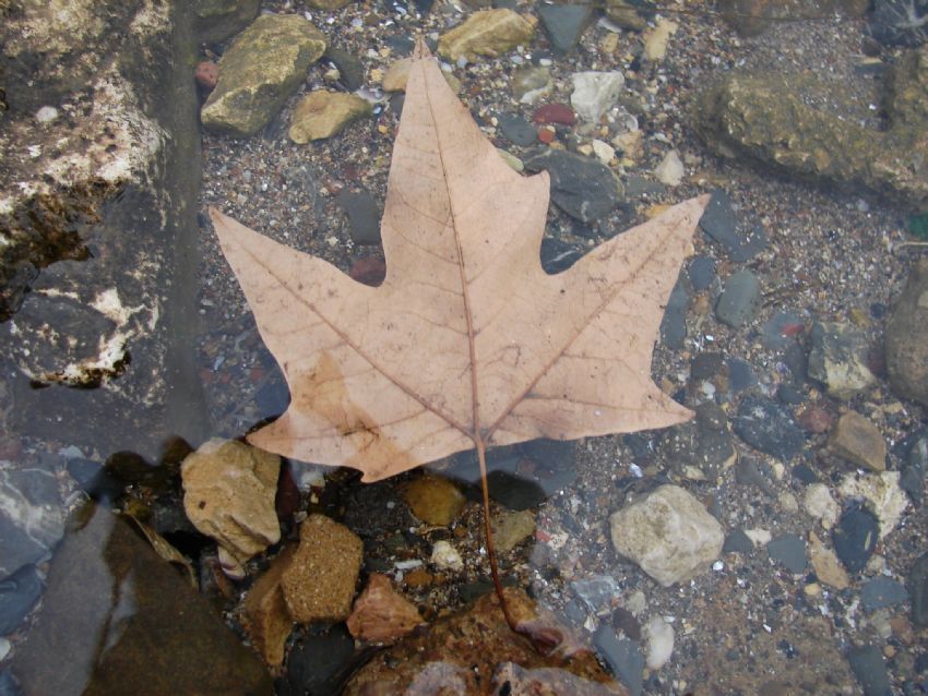 �zg�rl��e Do�ru