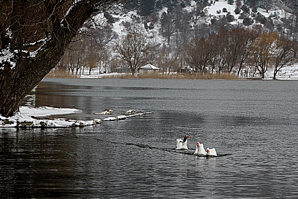 G�zel_ G�lc���m�z�n _ Sakinleri ..