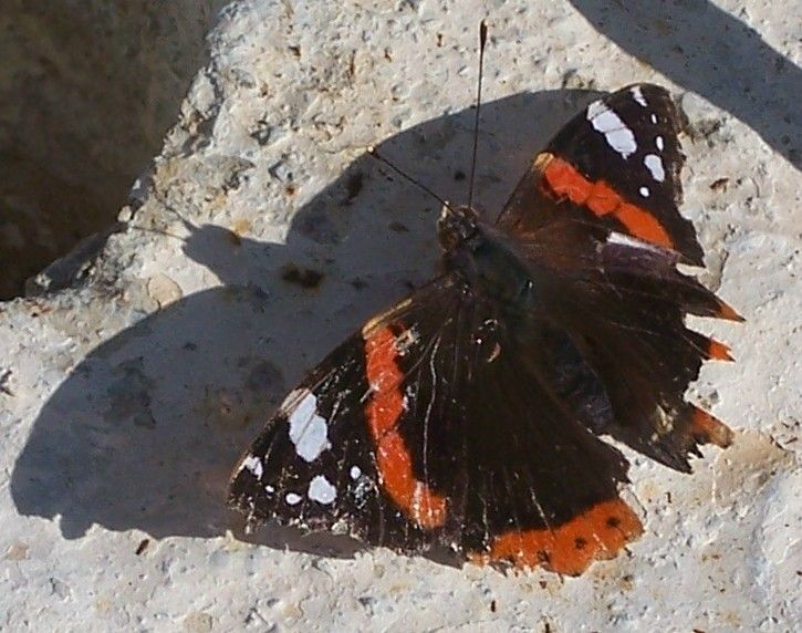 ayna ayna syle bana..:)