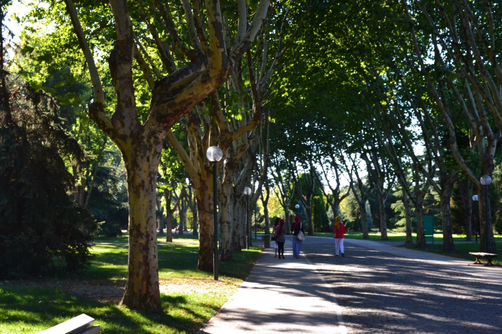 botanik park