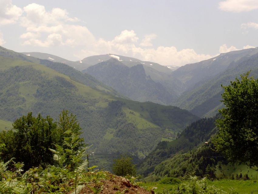 yayla