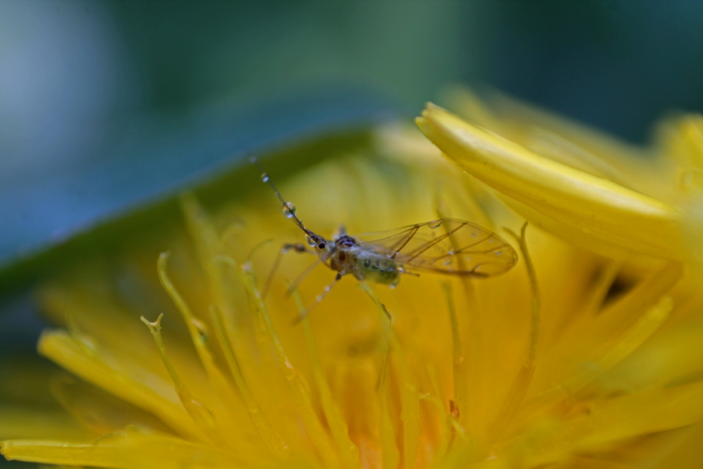 saat 05:45 uyku zaman ii zaman