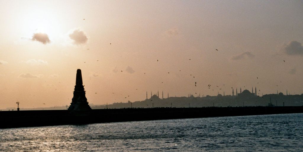 Yaln�z Mart� Sesleri