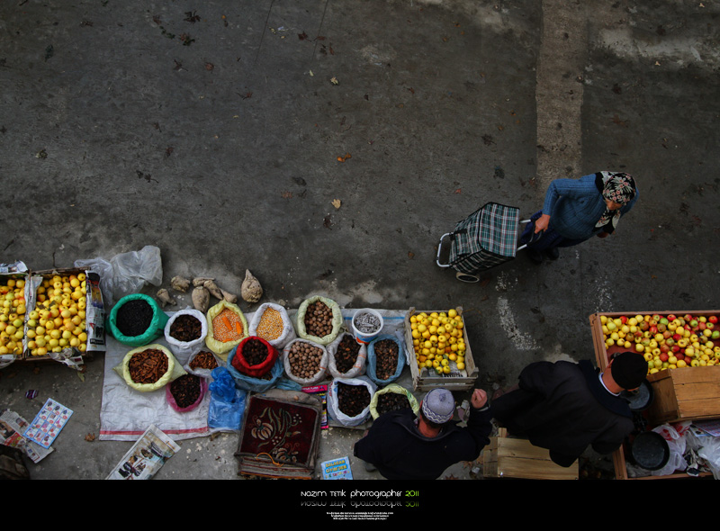 ... ::: Organik ::: ...