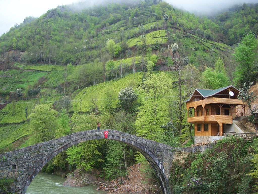 Timisvat Osmanl� Ta� Kemer K�pr�