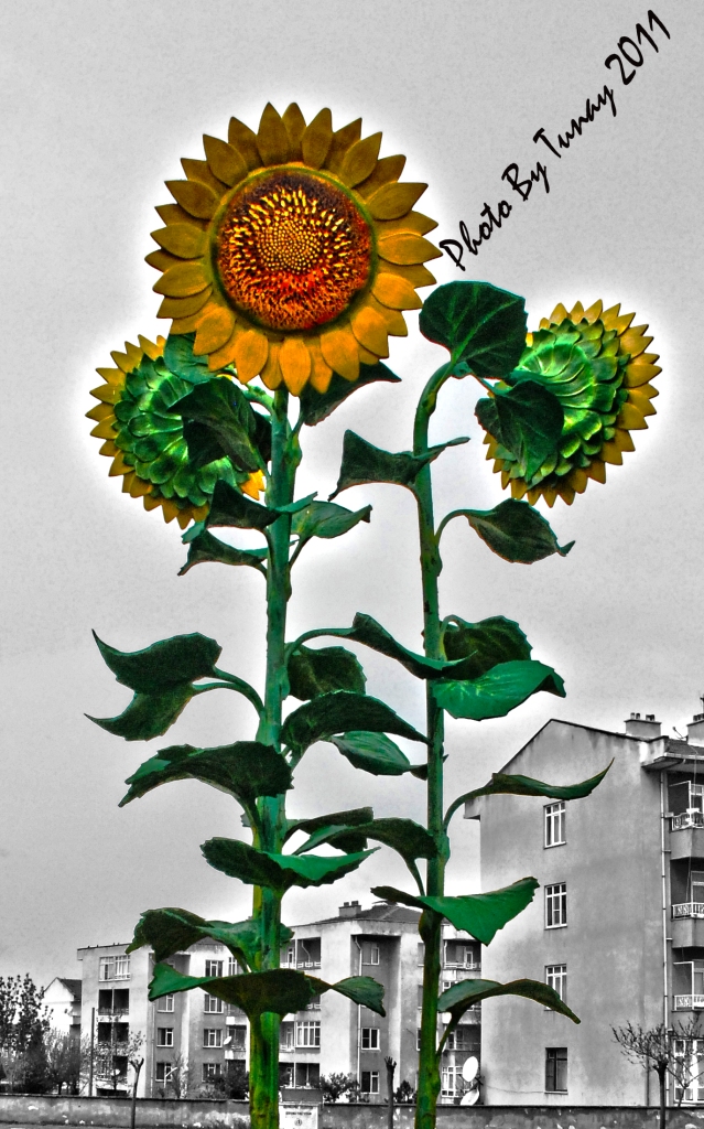 A��r� Derece G�bre Kullan�m� :) 