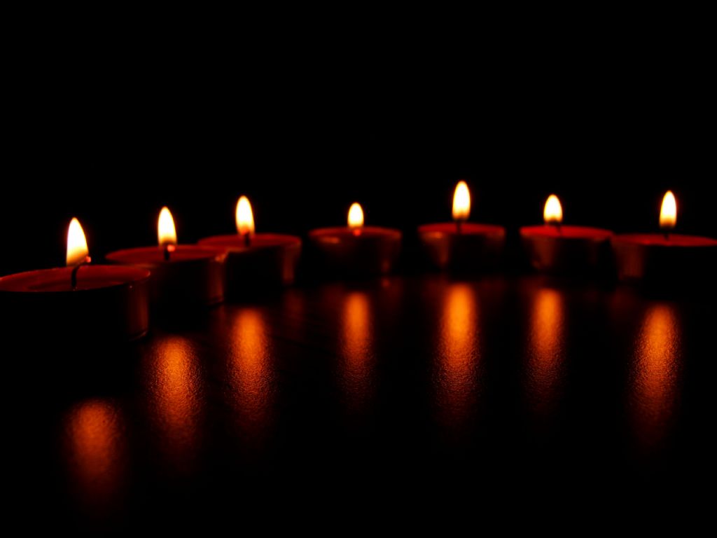 dibine ���k...