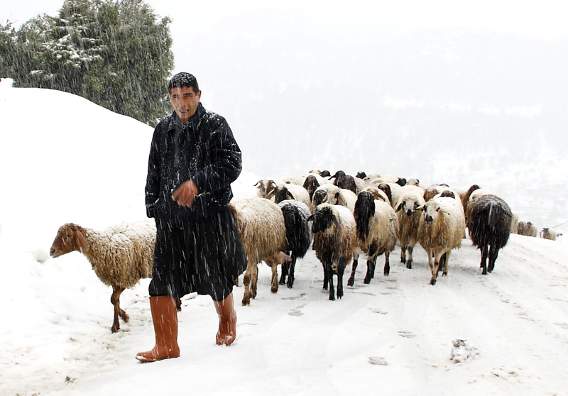 Anadolu'da Yaam