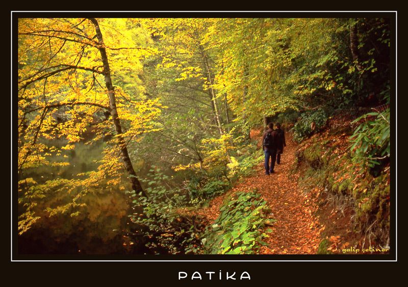 patika