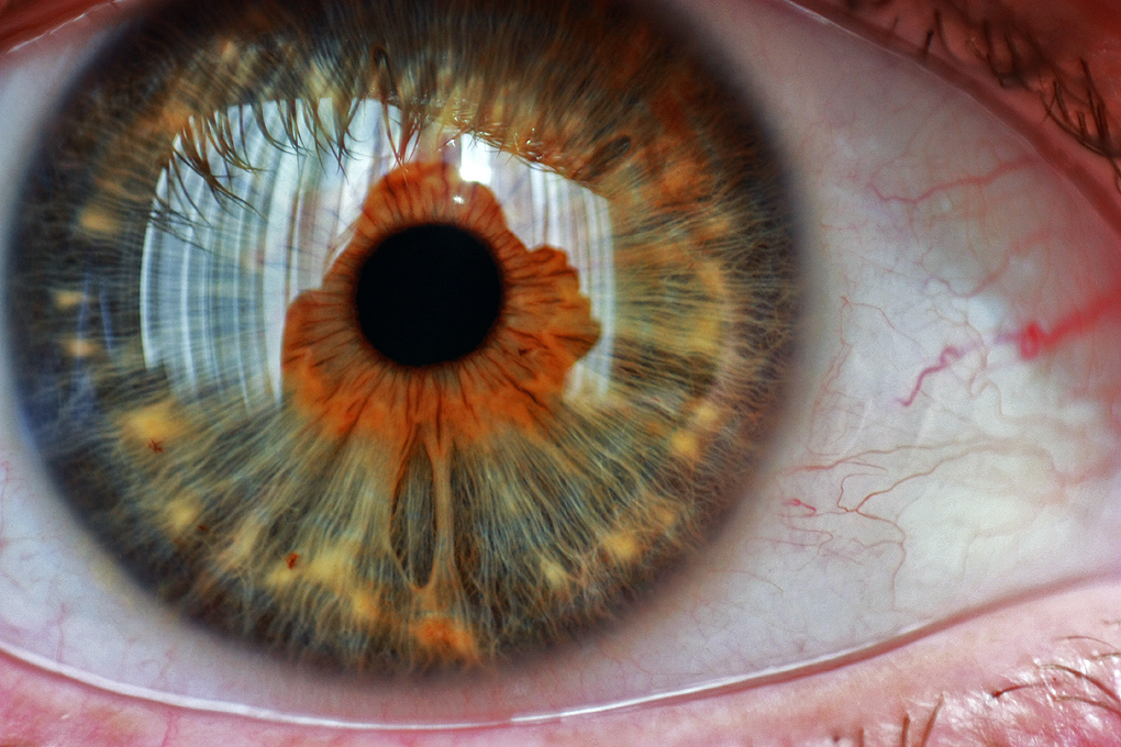 Gozler kalbin aynasidir