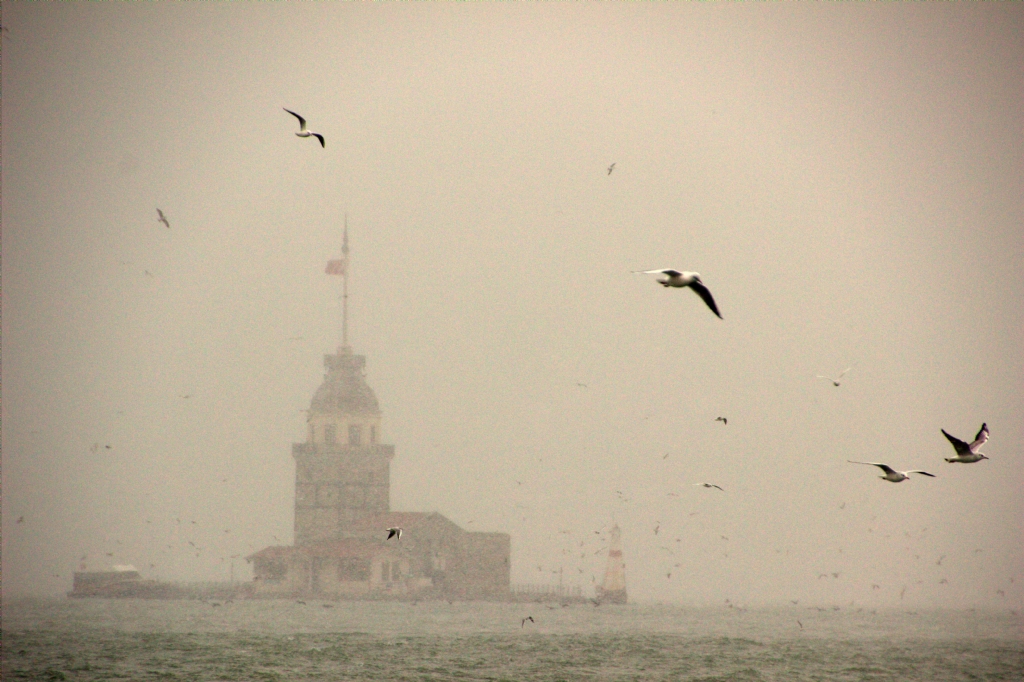 sis,kar,martlar arasnda kz kulesi