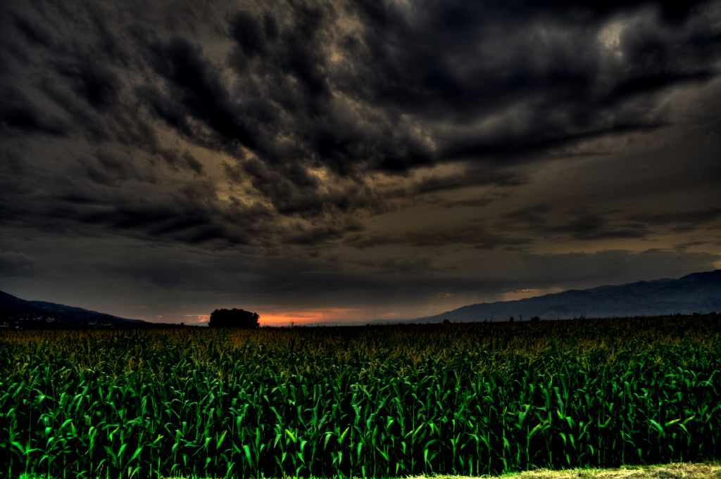 aydn'a kyamet yaklarken