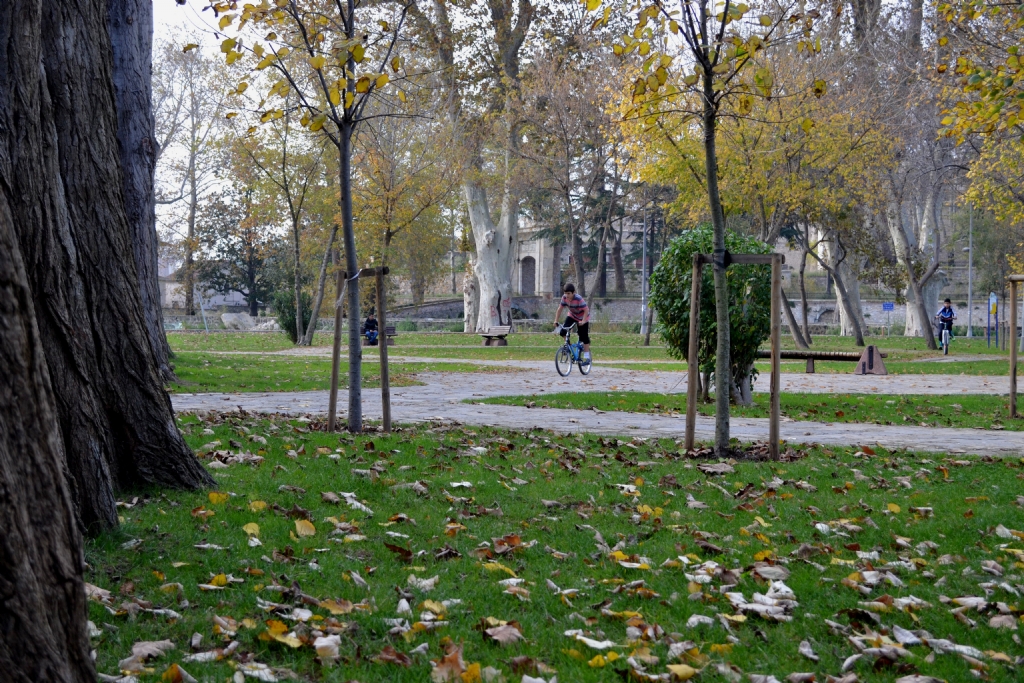 'ocuklar ve sonbahar'