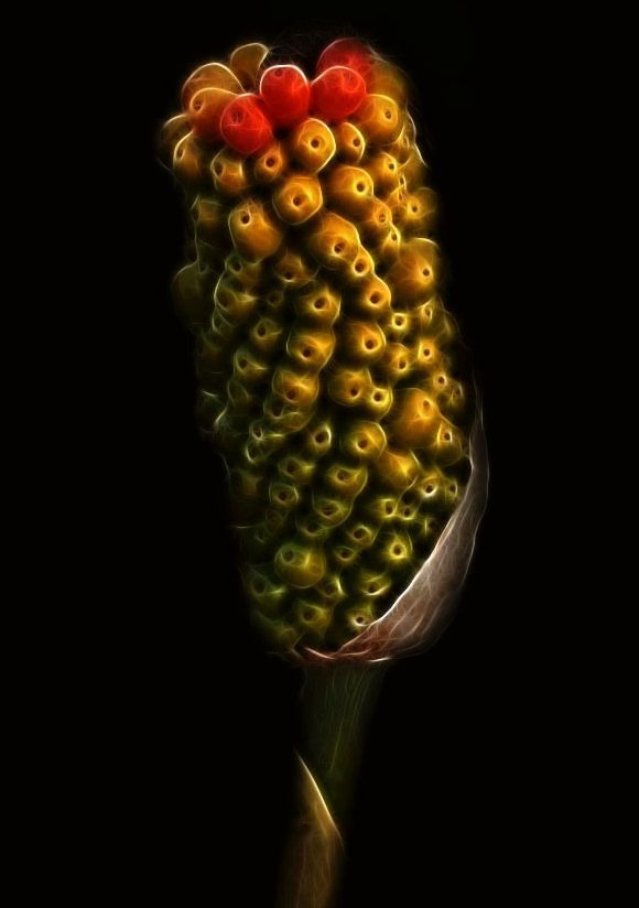 Elementary Particles Party