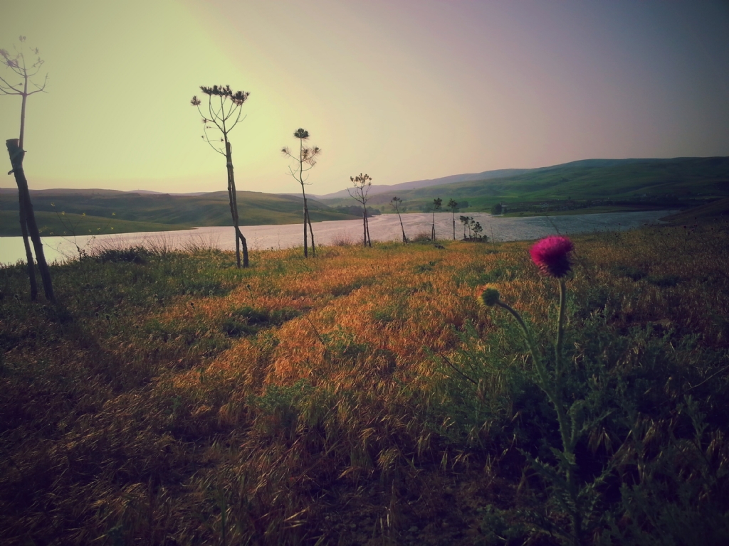 Gzel Ammaa Dikenli...