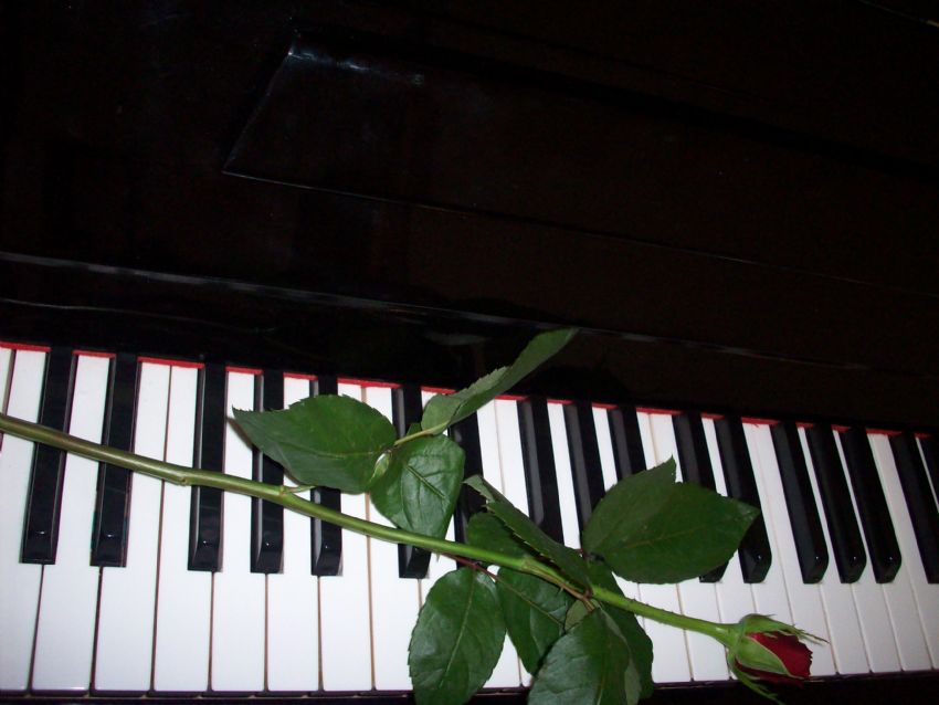 Piano ve Gl....