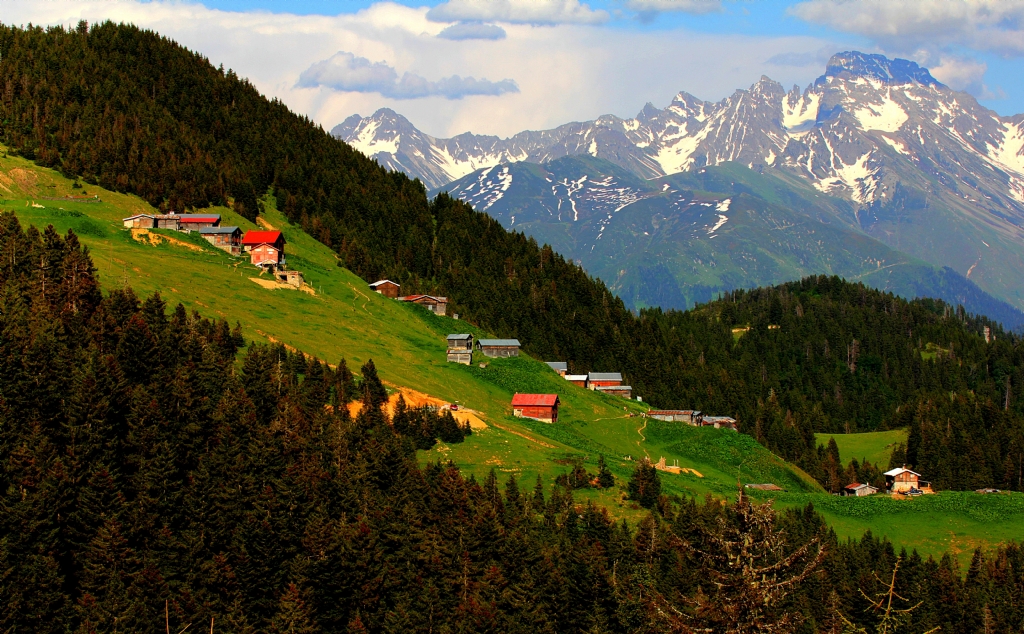 Yayla