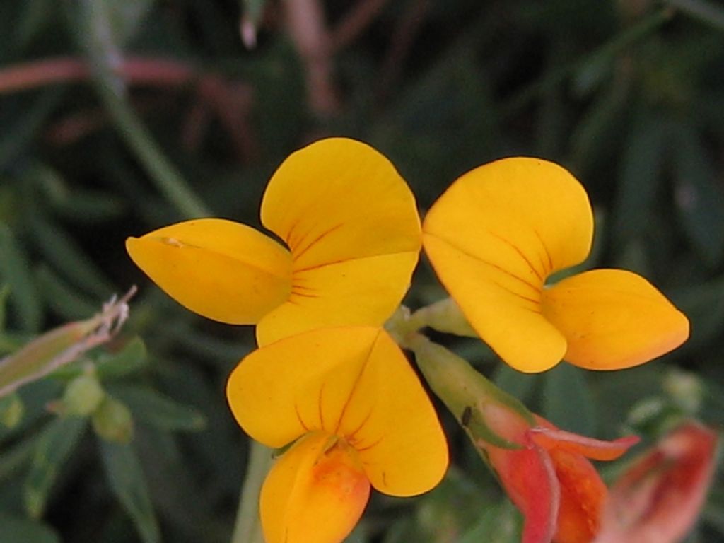 Doada bende varm der gibi...