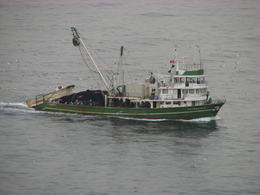 gemiler ge�er r�yalar�mdan all� pullu gemiler